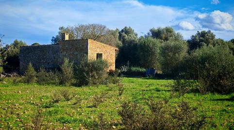 Foto 4 de Finca rústica en venta en Costitx Jornets, Costitx, Illes Balears