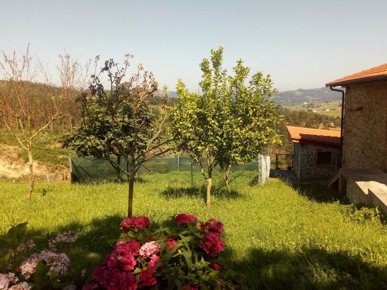 Garden of Country house for sale in Reocín  with Private garden, Terrace and Furnished