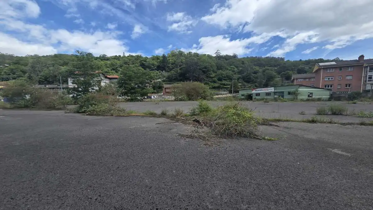 Exterior view of Industrial buildings for sale in Mieres (Asturias)