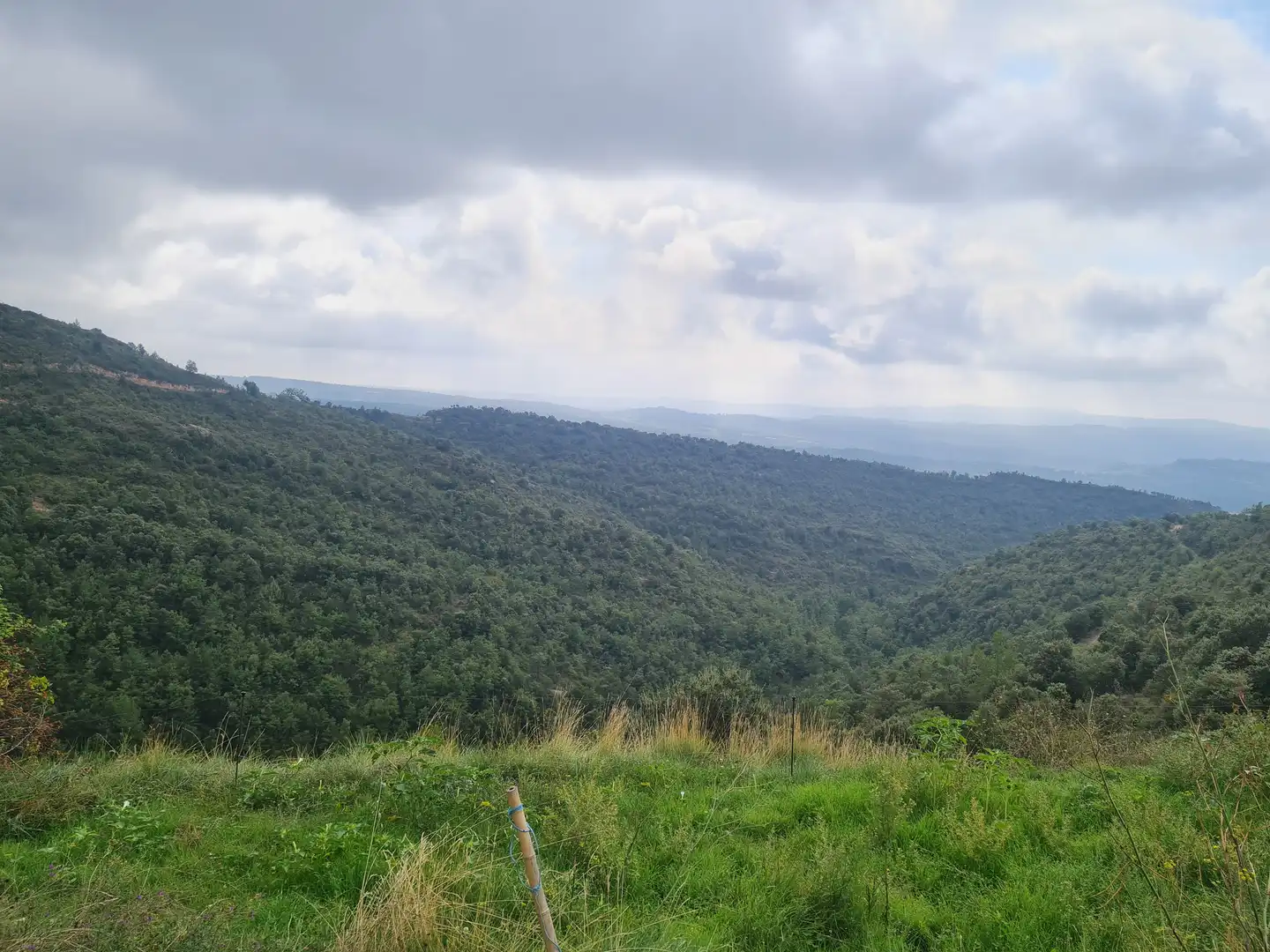 Country homes for sale in Olvan