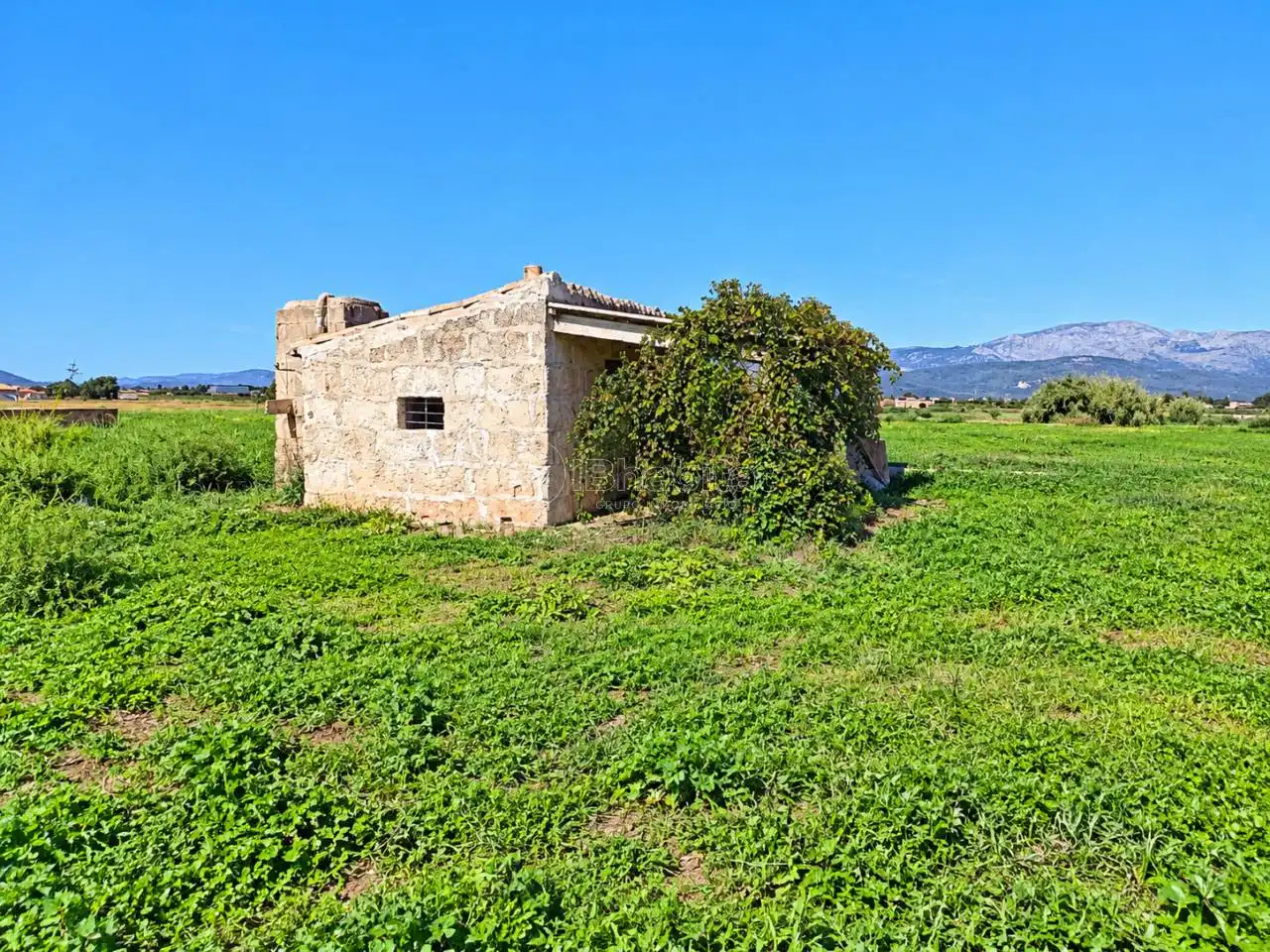 Terrain rustique à vendre à Sa Pobla, imagen 5
