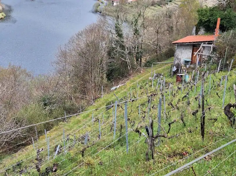 Terreni e lotti in vendita a Lugar Belesar 134, imagen 23