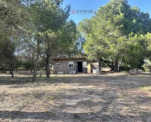 Casa o xalet en venda en Torres Torres amb Jardí privat