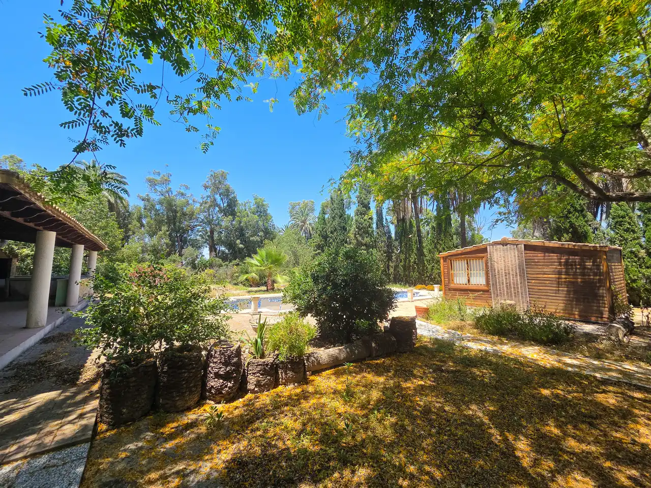 Jardí de Casa o xalet en venda en Elche / Elx amb Jardí privat, Terrassa i Piscina