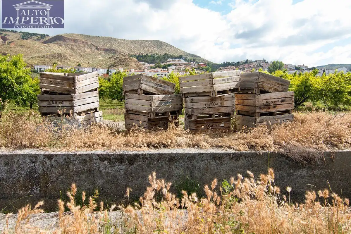 Vista exterior de Finca rústica en venta en Granada