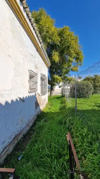Vista exterior de Finca rústica en venta en Valencina de la Concepción
