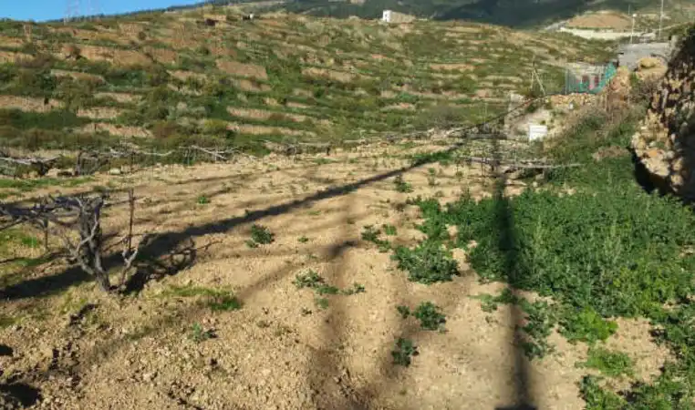 Rural land for sale in GUINCHO (EL), imagen 2