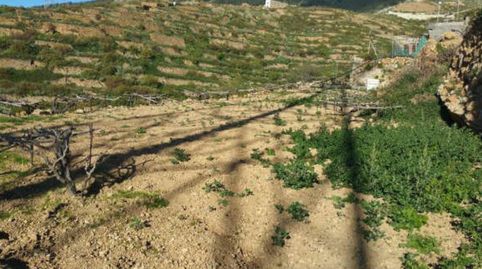 Foto 2 de Terreno en venta en Guincho (el), El Escobonal - Pájara, Güímar