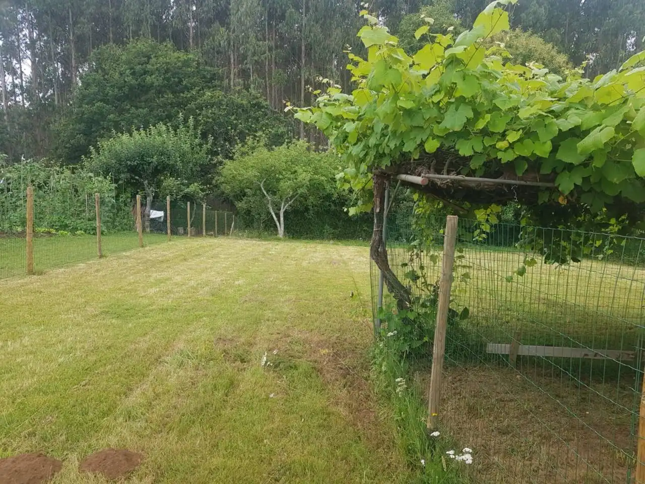 Casa con giardino in vendita a Calle Lugar Medoña 2, imagen 20