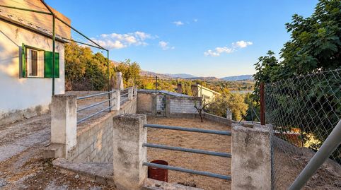 Foto 2 de Finca rústica en venta en Carretera Bailén-motril, 30, Padul, Granada
