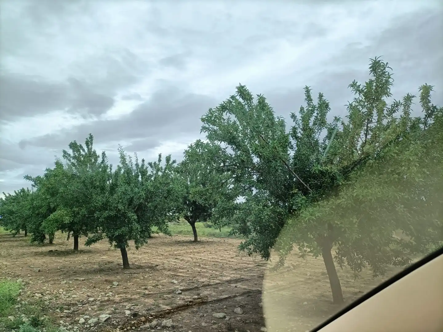 Terreno rustico in vendita a Nambroca, imagen 5