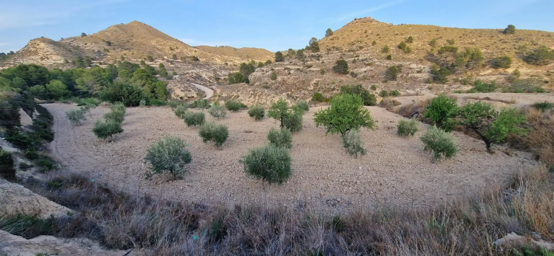 Finca rústica en venta en Aigües con Jardín privado