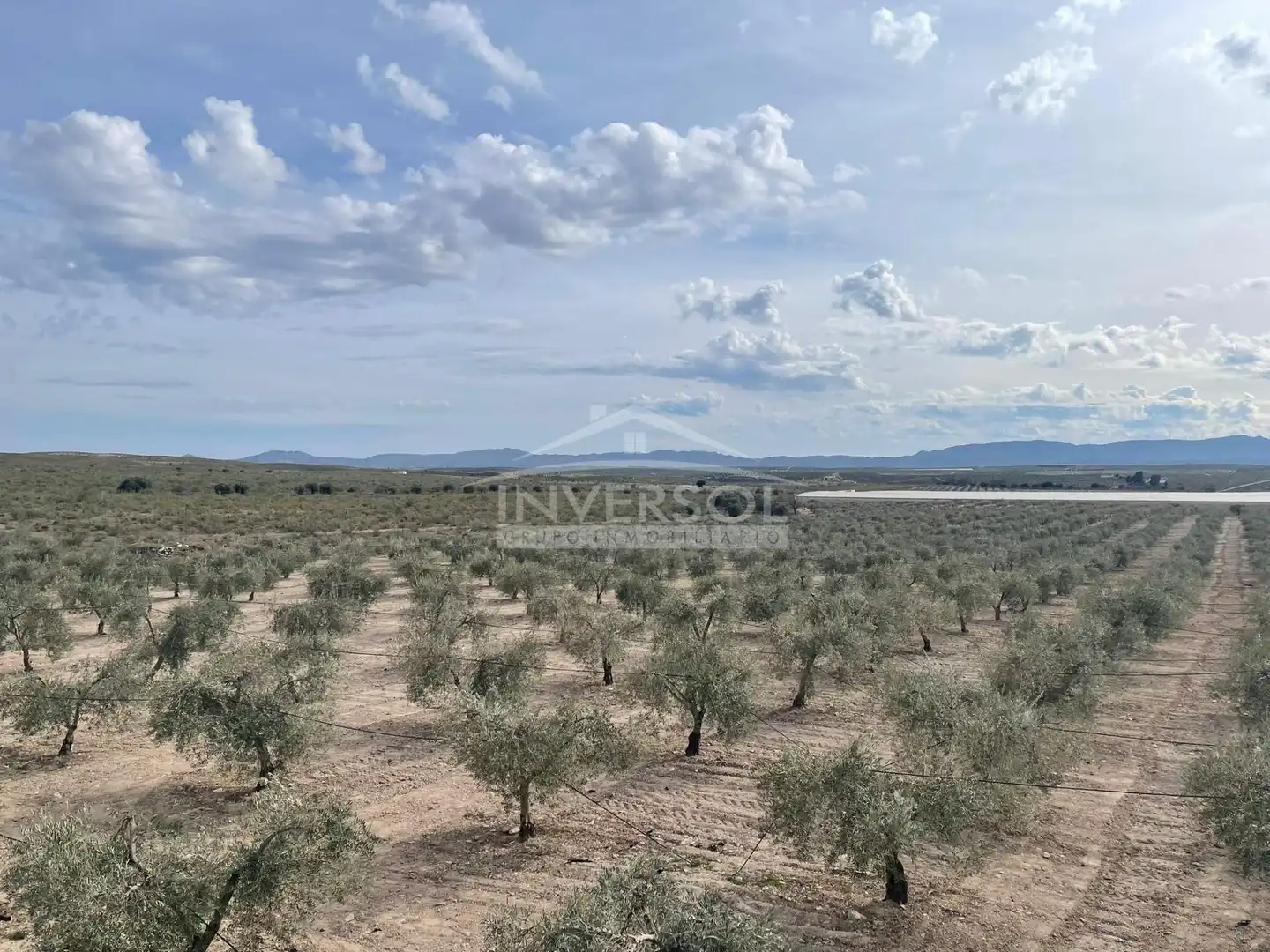 Terreno en venta en Uleila del Campo