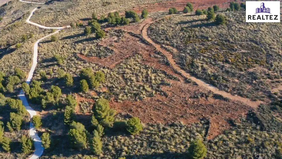 Terrain rustique à vendre à Alcolea, imagen 4