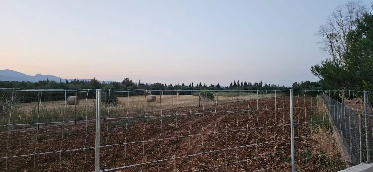 Rustikales Grundstück zum Verkauf in Llubí, imagen 11