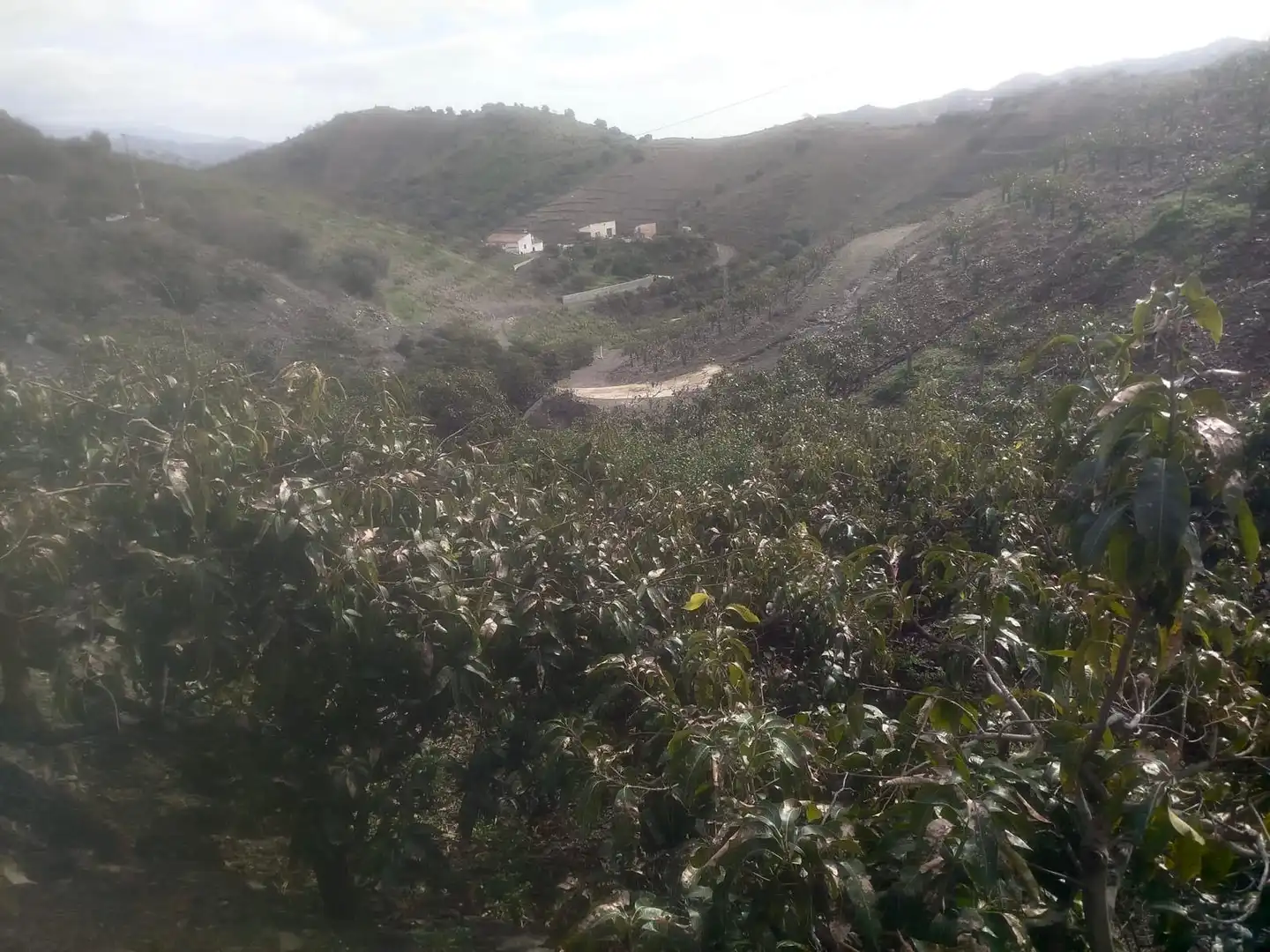 Finca rústica en venda en Vélez-Málaga amb Jardí privat, Traster i Moblat