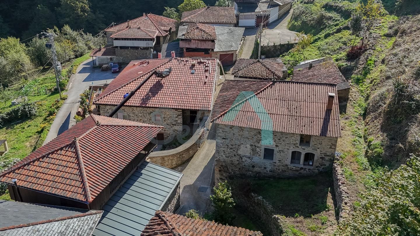 Vista exterior de Casa o xalet en venda en Tineo amb Jardí privat i Balcó