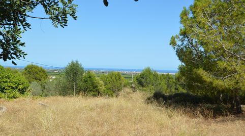 Foto 5 de Casa o chalet en venta en Travesía Ermita, 161, Closa de Vinaròs - Ermita, Vinaròs