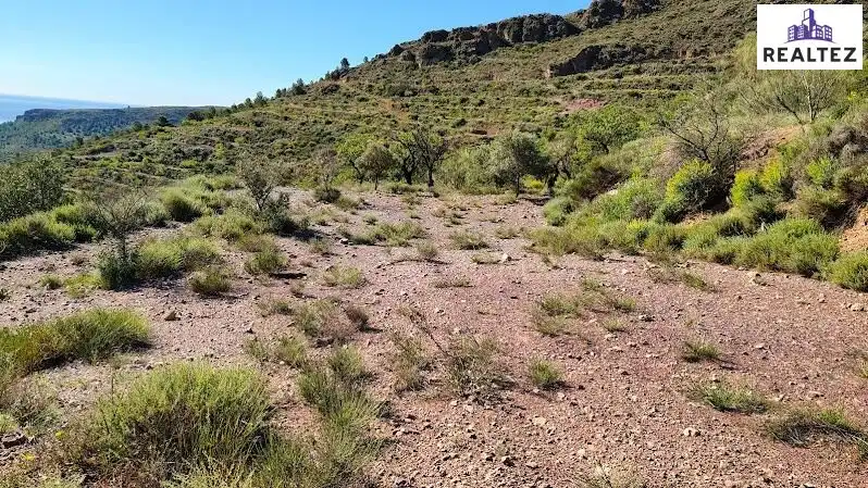 Rural land for sale in Felix, imagen 3