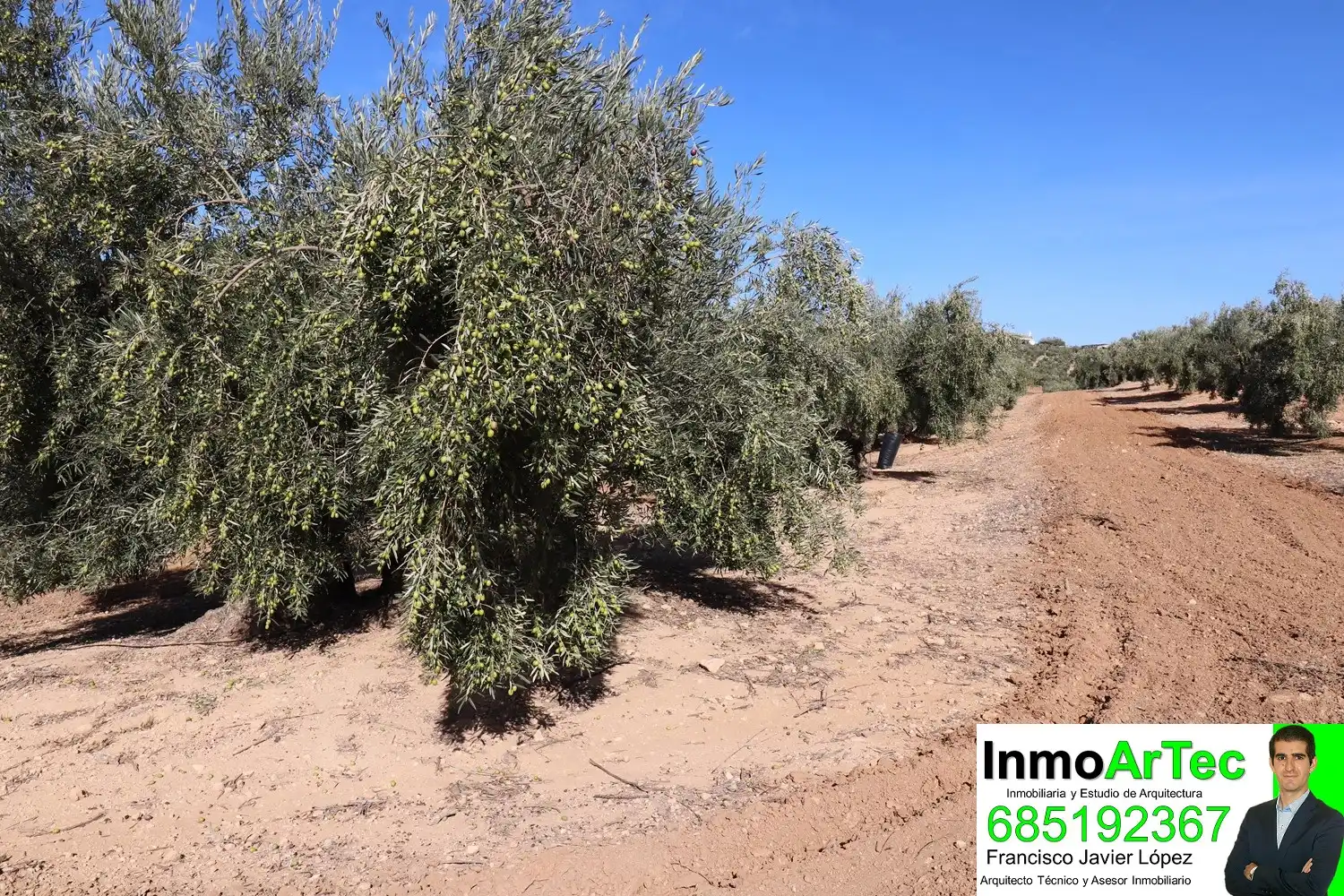 Finca rústica en venda en Iznalloz amb Jardí privat, Terrassa i Piscina