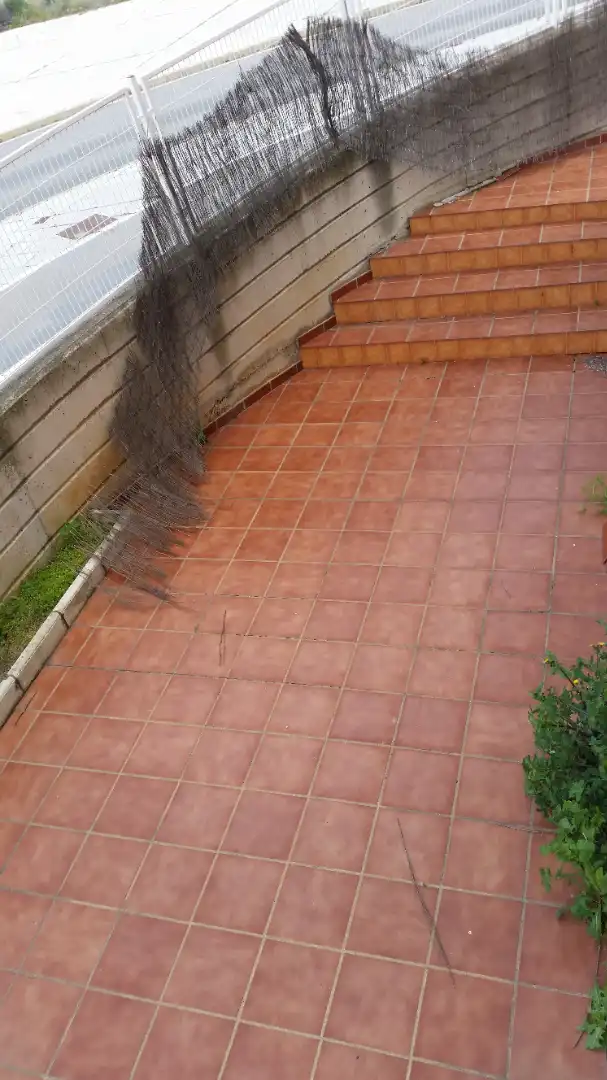 Jardí de Apartament en venda en Cáceres