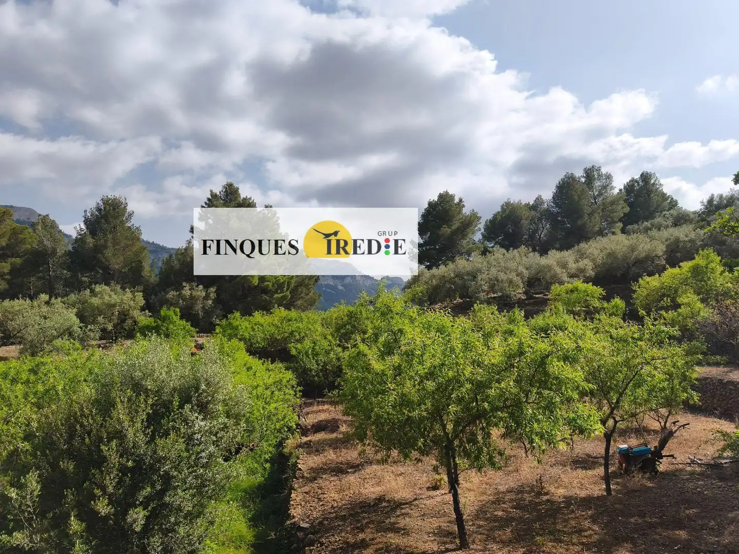 Casa en venta en Alfara de Carles, imagen 16
