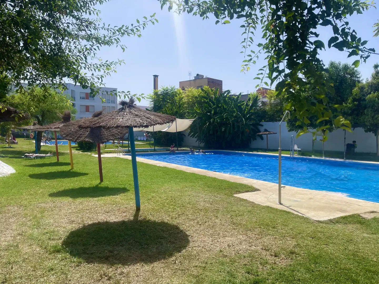 Schwimmbecken von Wohnung zur Miete in La Algaba mit Klimaanlage, Terrasse und Schwimmbad
