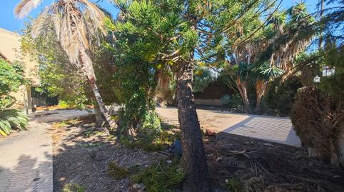 Photo 3 of Houses for sale in Carrer del Convent, 138, Campello pueblo, El Campello