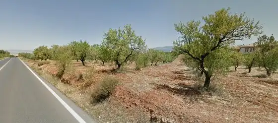 Rustikales Grundstück zum Verkauf in C/ La Quinita, imagen 8