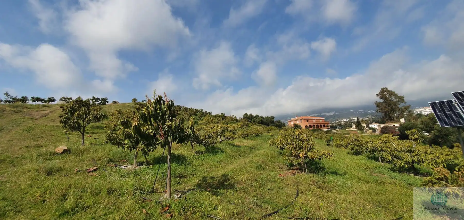 Casa rustica in vendita a Campo de Mijas, imagen 13