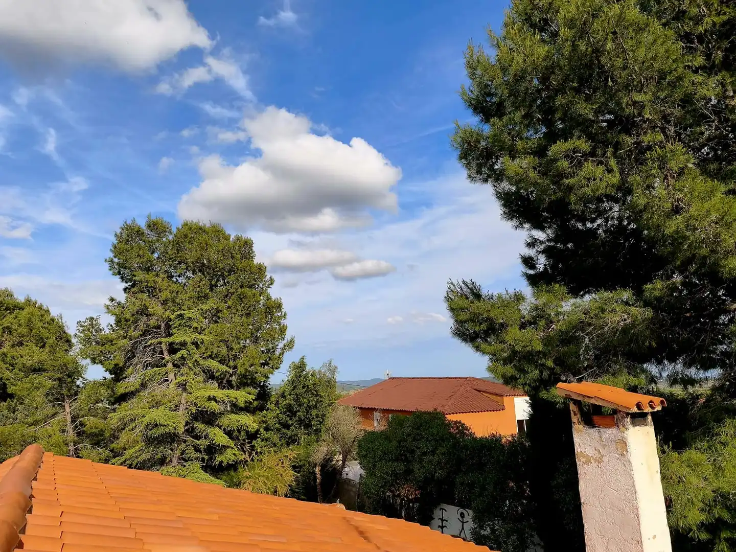Detached house with pool for sale in Montserrat, imagen 16