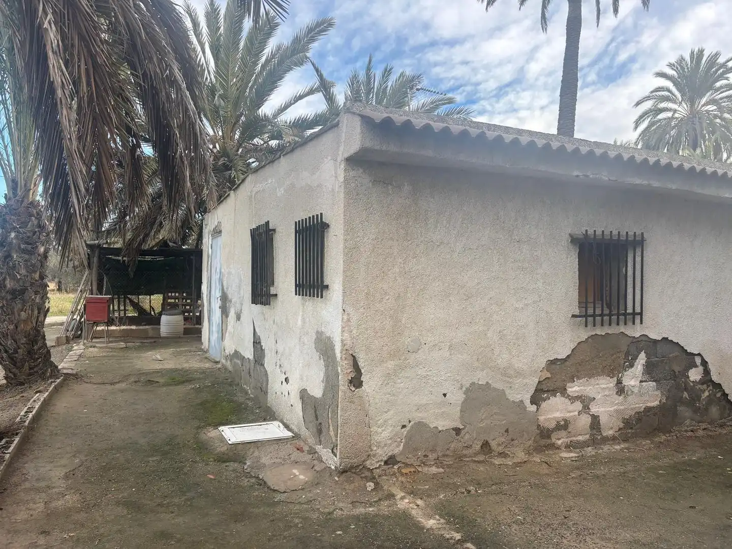 Vista exterior de Finca rústica en venda en Elche / Elx