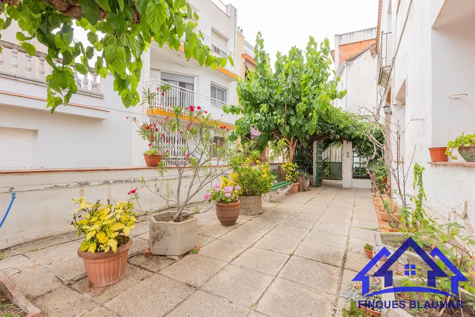 Vista exterior de Finca rústica en venda en Arenys de Mar amb Calefacció, Jardí privat i Terrassa