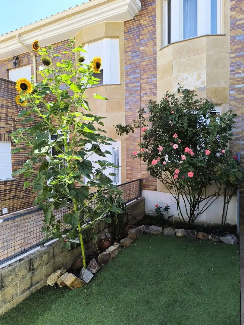 Garden of Detached homes for sale in Carrascal de Barregas  with Heating, Private garden and Terrace