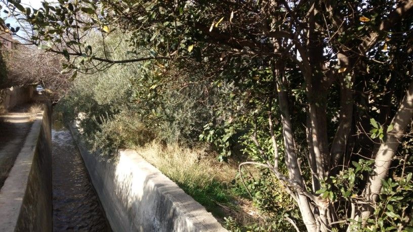 Residencial en venda a LUCIOS, JUNTO ACEQUIA DE BENIAJÁN, -1, Beniaján