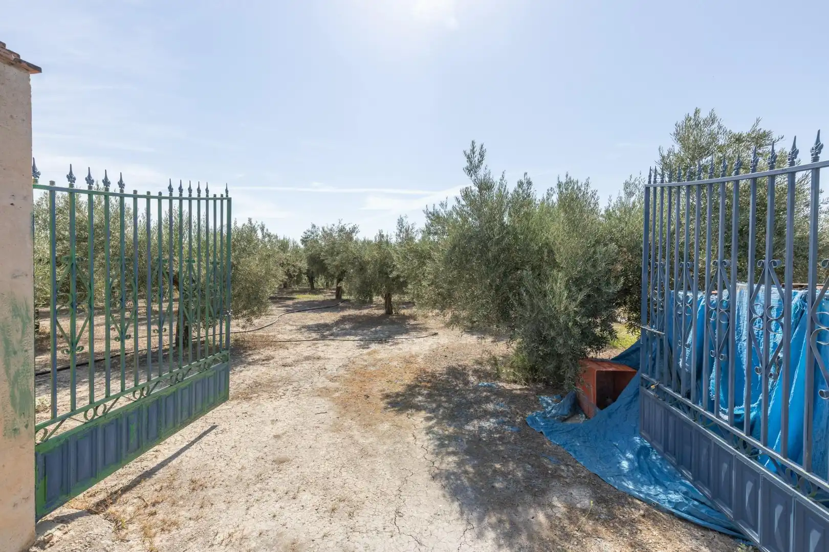 Lands and plots for sale in DISEMINADOS, imagen 23