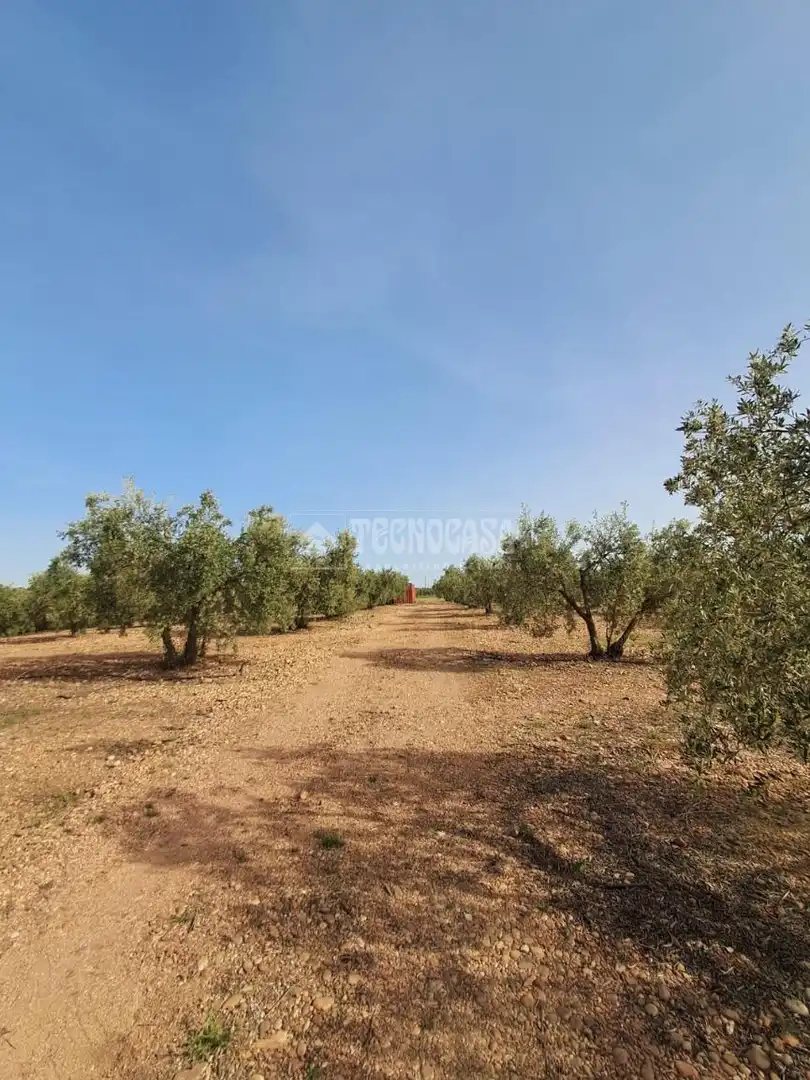 Terreno rustico in vendita a Carmona, imagen 12