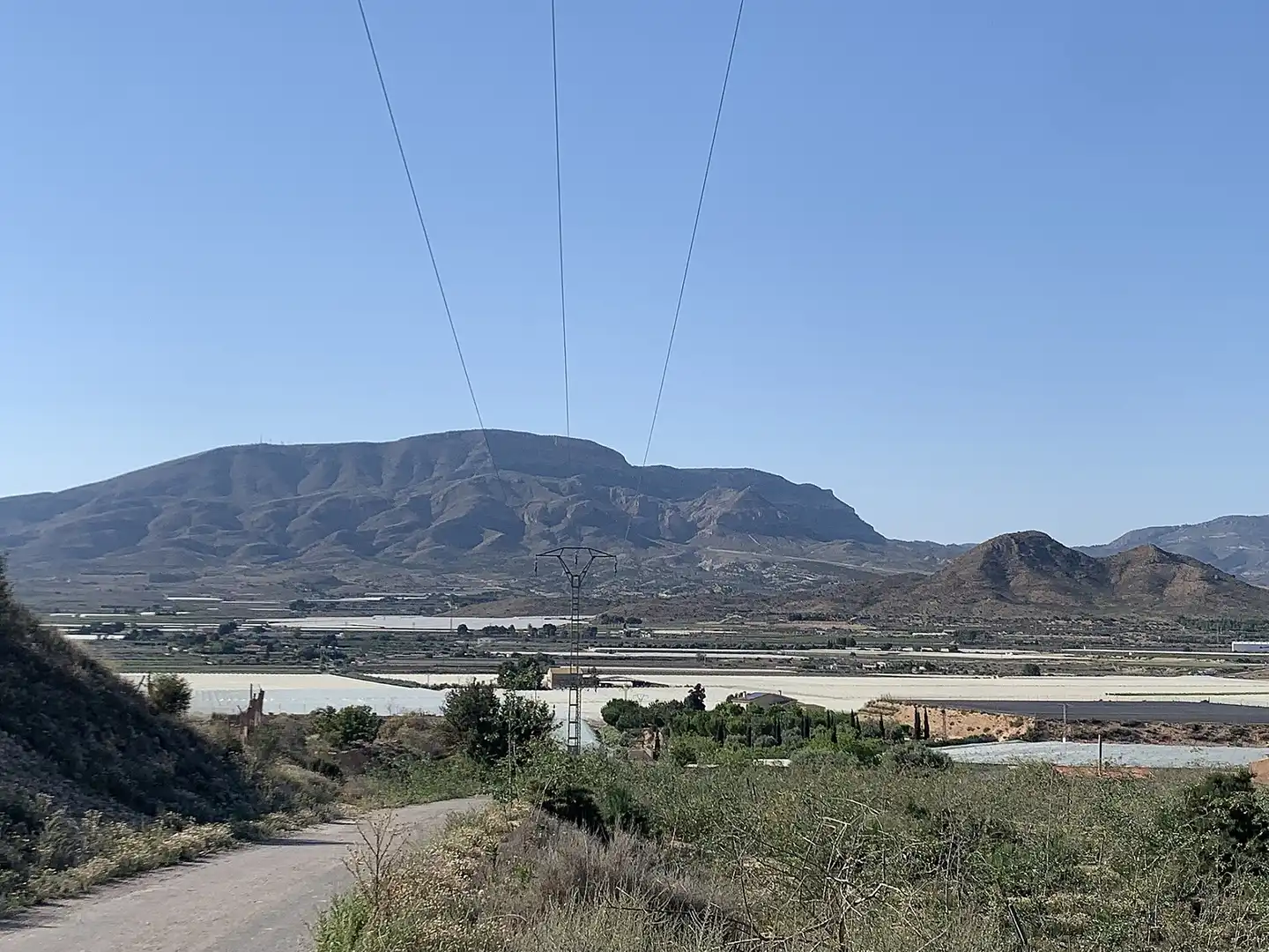 Terreno rústico en venta en Monforte del Cid, imagen 5