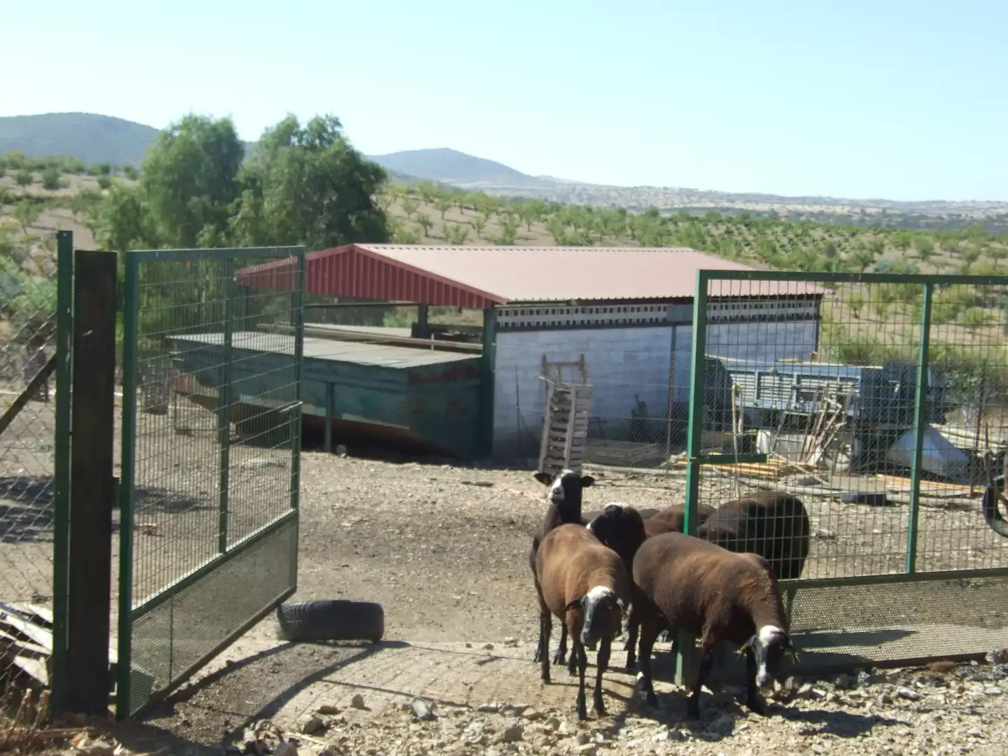 Terreno rustico in vendita a Carretera Fuente del Maestre-Huerta Julián 44, imagen 10