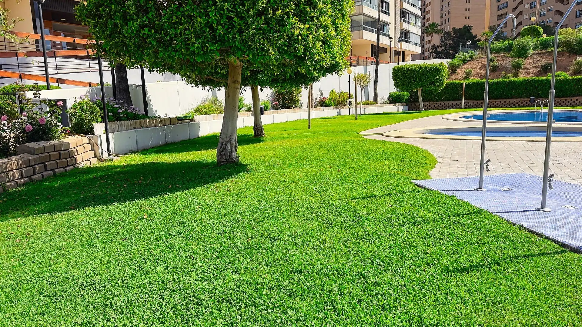 Vista exterior de Pis en venda en Benidorm amb Aire condicionat, Jardí privat i Terrassa