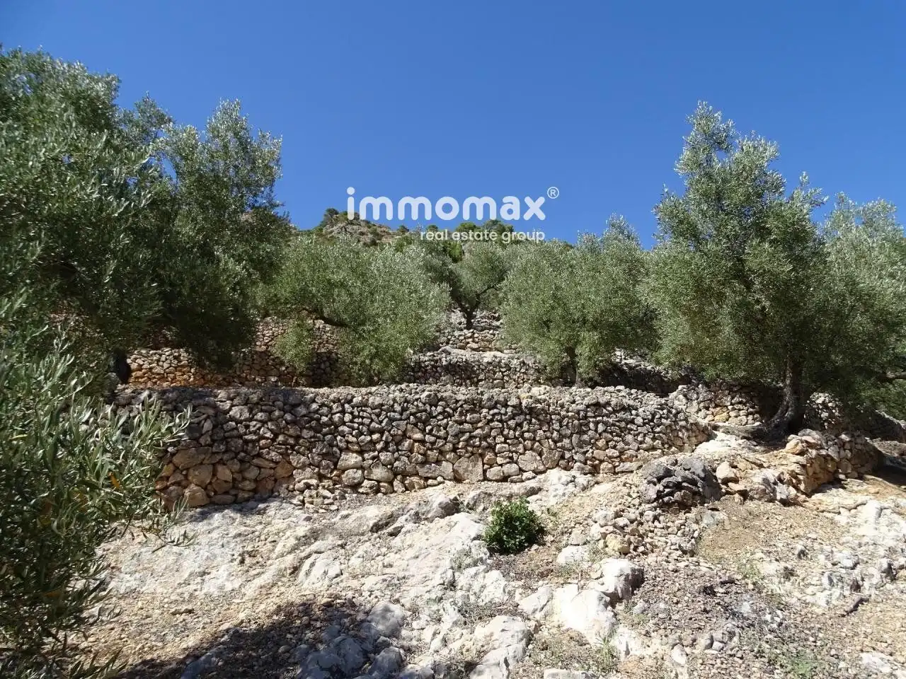 Villa à vendre à Paüls, imagen 10