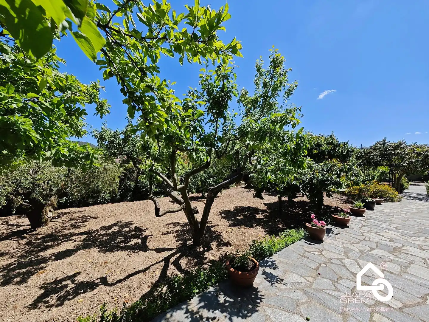 Jardí de Casa o xalet en venda en La Llacuna amb Calefacció, Jardí privat i Terrassa