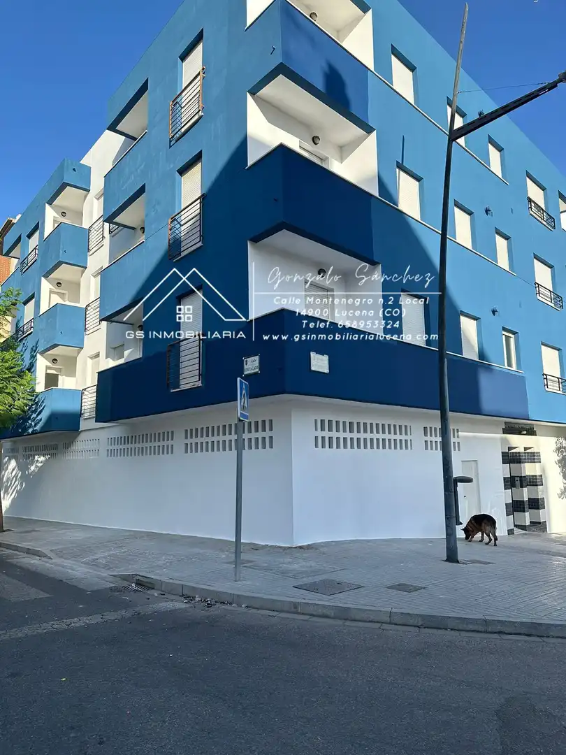Vista exterior de Pis en venda en Lucena