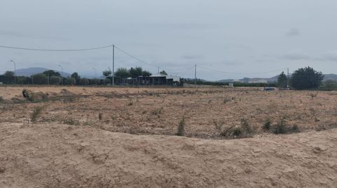 Terreno Rustico con uso agrario en Librilla, immagine 4