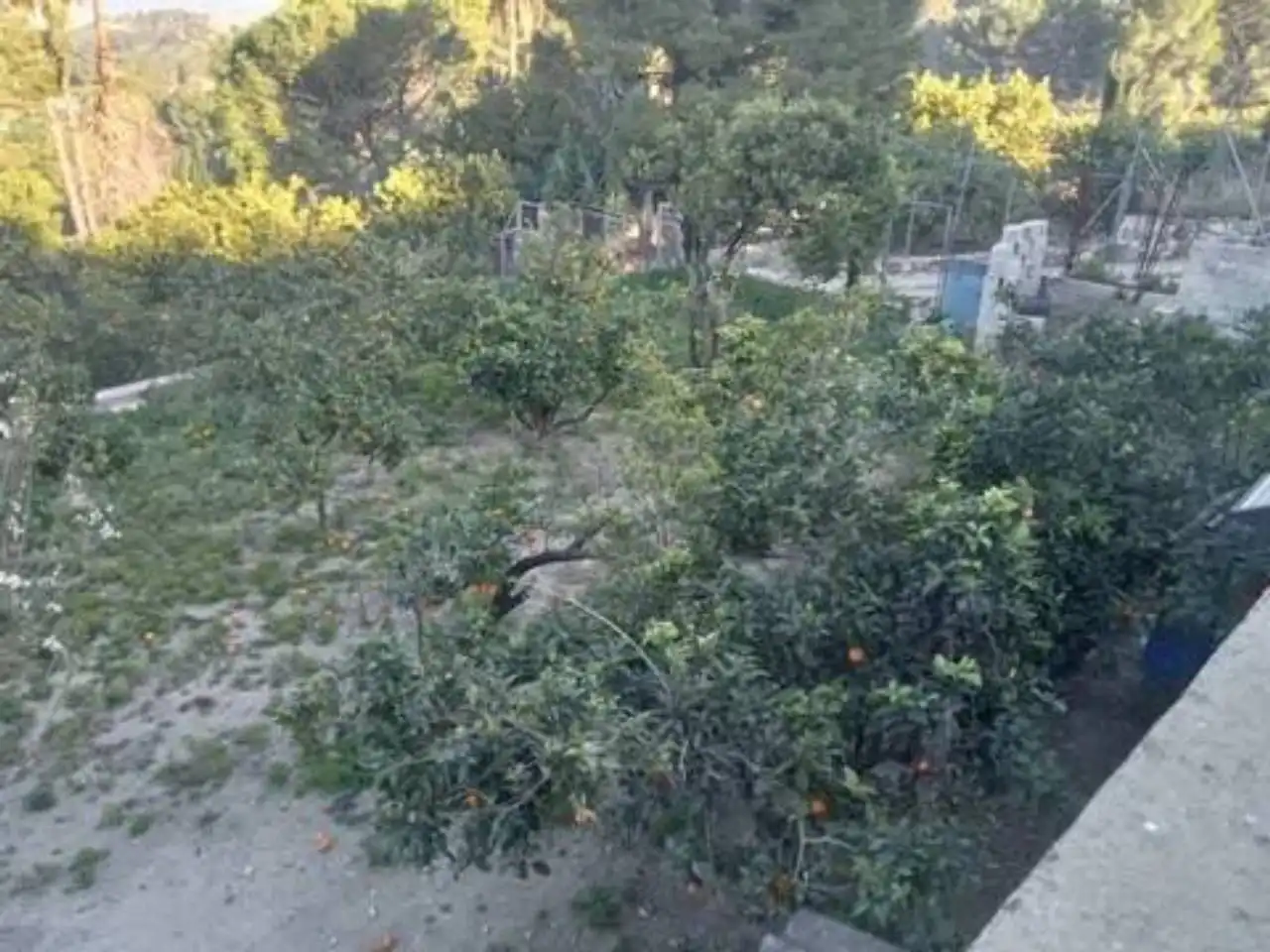 Casa o xalet en venda en Villanueva de Castellón amb Aire condicionat i Terrassa