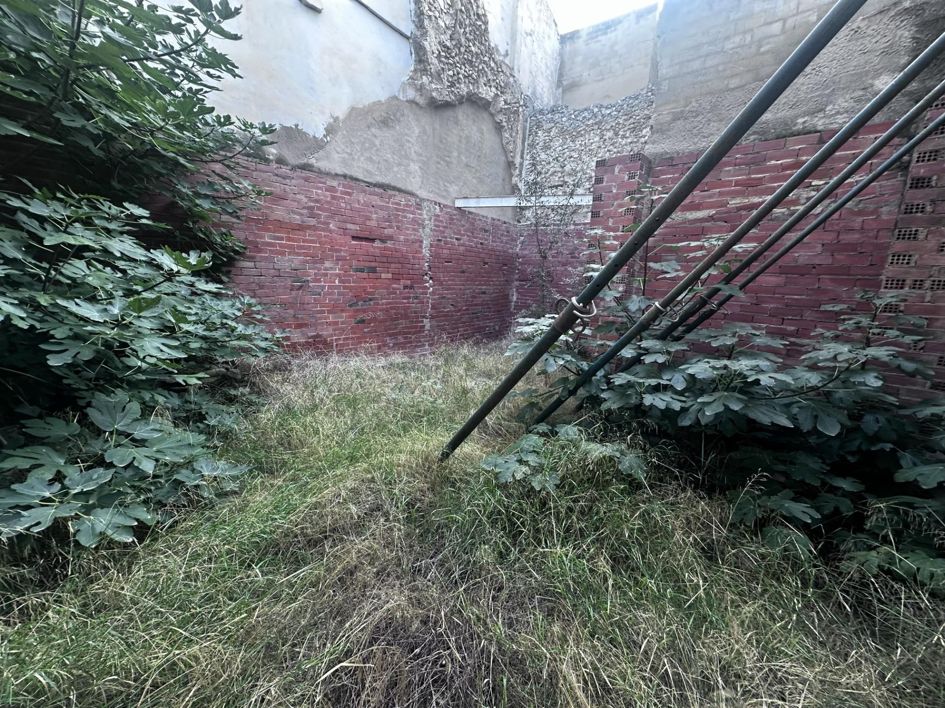 Jardí de Casa o xalet en venda en Aspe amb Jardí privat