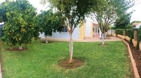 Foto 3 de Casa o chalet de alquiler en Umbrete, Sevilla