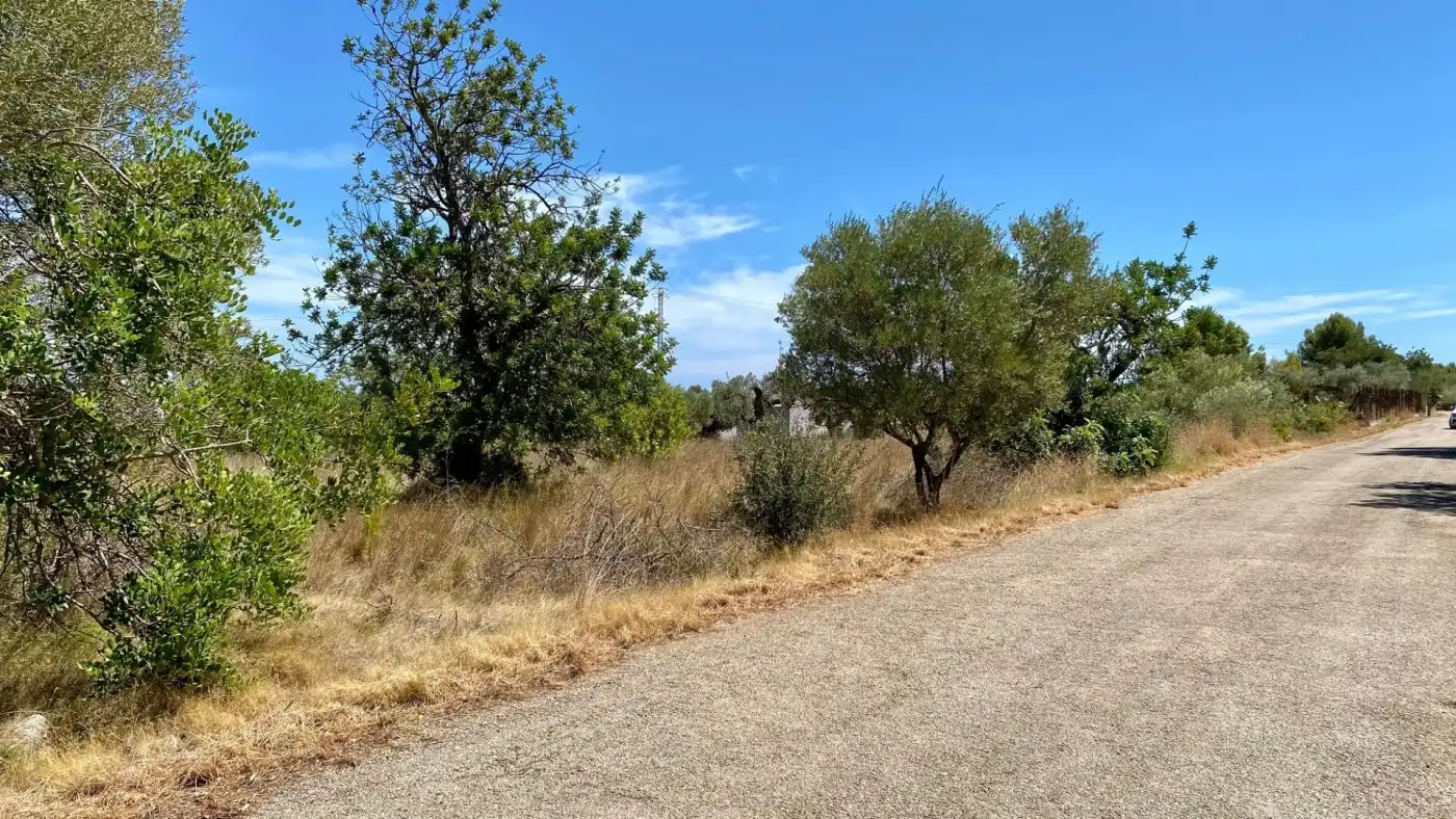 Terreno residencial en venta en Camino BARRANC DE MOLES 61, imagen 2