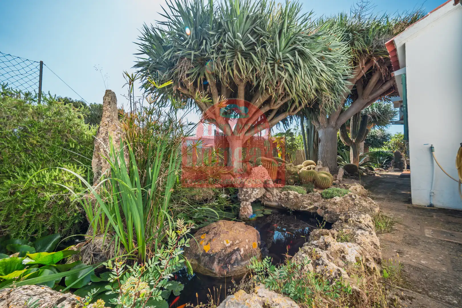 Villa mit Garten zum Verkauf in Cala Blanca, imagen 8