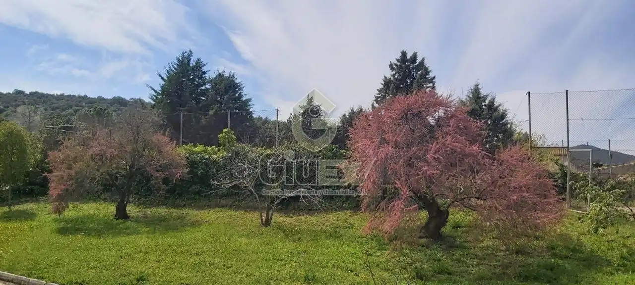 Casa rústica amb jardí en venda a Sierra de Fuentes, imagen 25